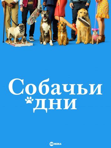 Собачьи истории
 2024.04.16 21:20 смотреть онлайн в высоком hd 1080p качестве бесплатно
